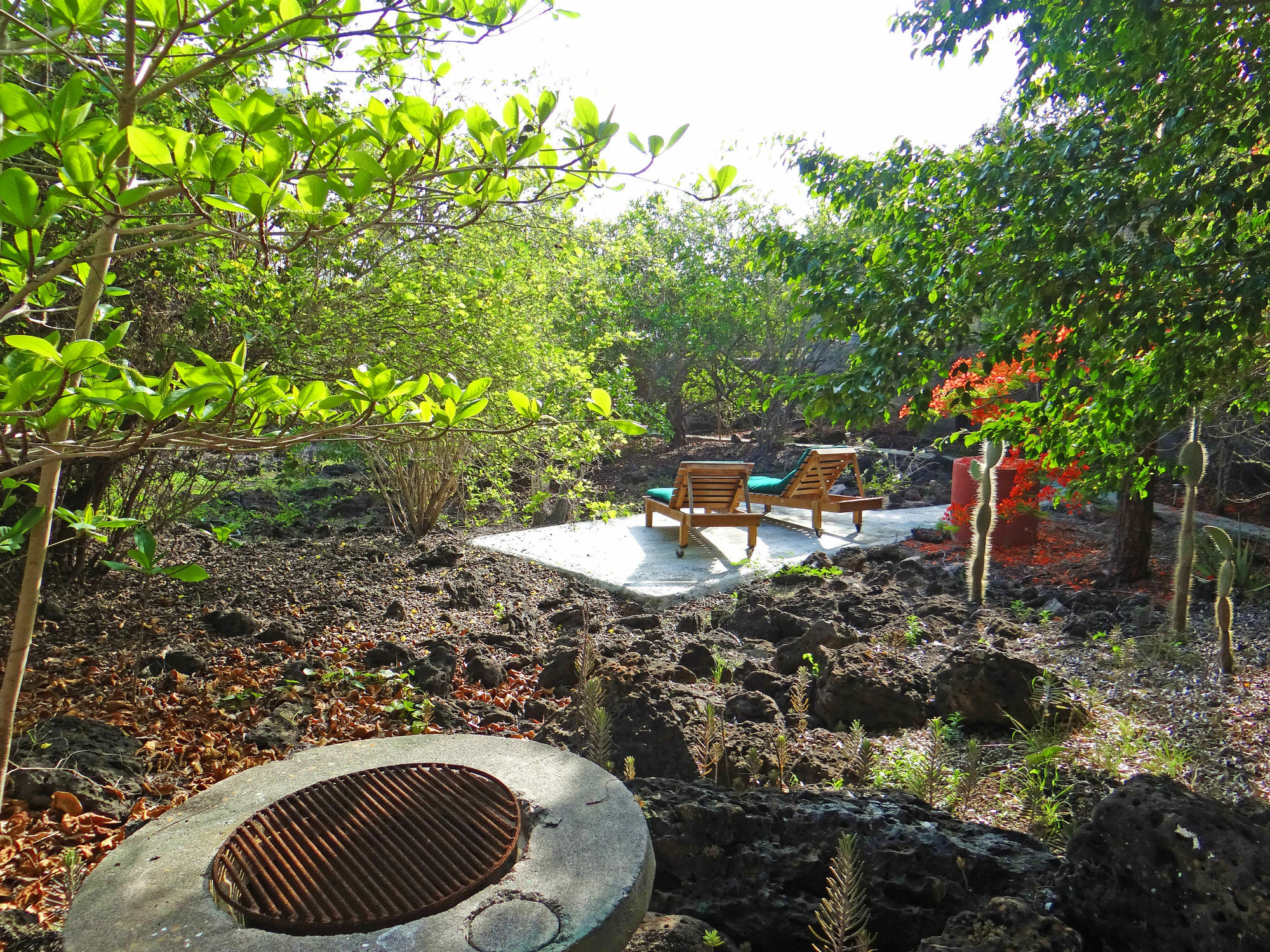 פורטו איורה Galapagos Chalet מראה חיצוני תמונה