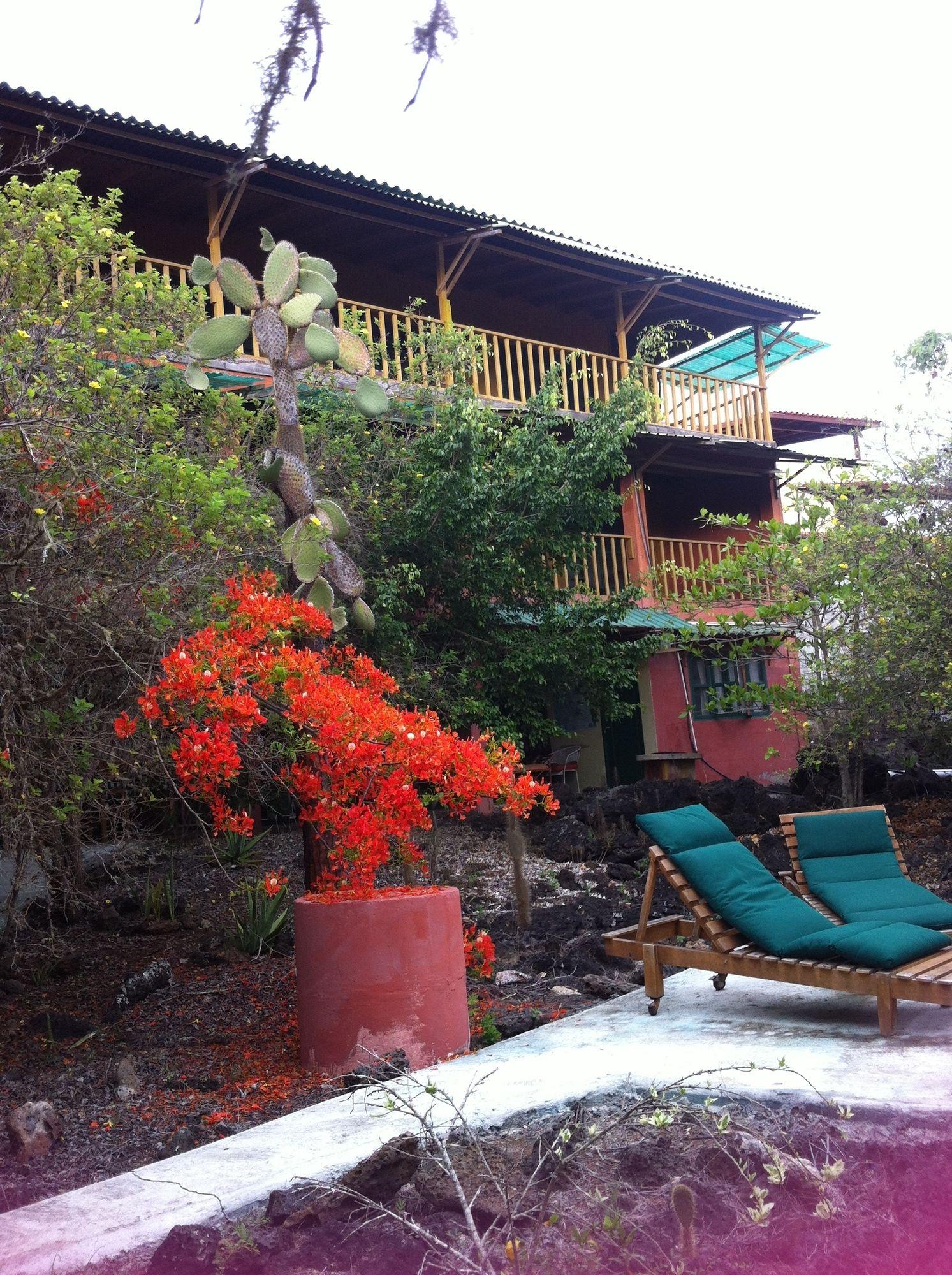 פורטו איורה Galapagos Chalet מראה חיצוני תמונה